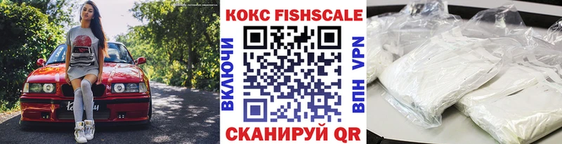 где купить   Абакан  Cocaine Fish Scale 