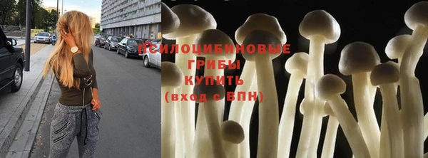 дживик Алексеевка