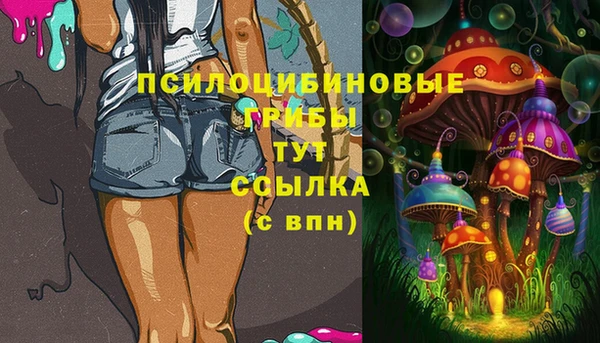 бошки Абинск