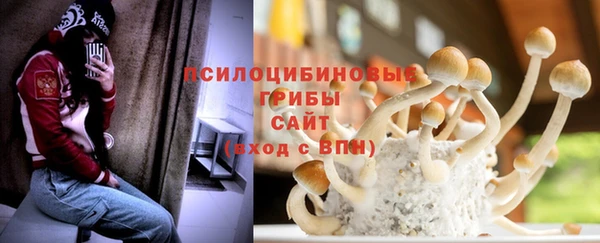 бошки Абинск