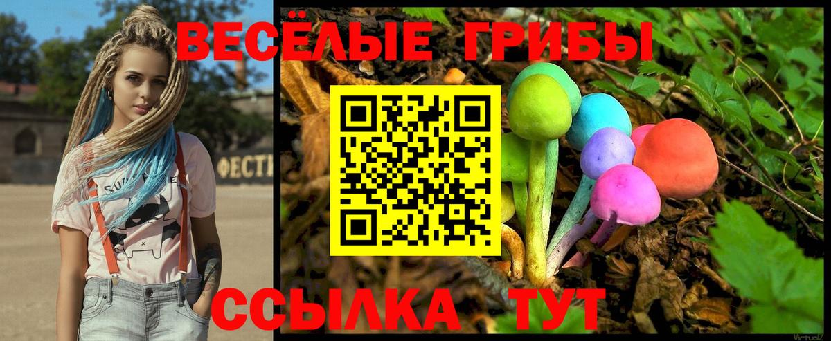 Галлюциногенные грибы Psilocybine cubensis  Вход с VPN  Абакан 