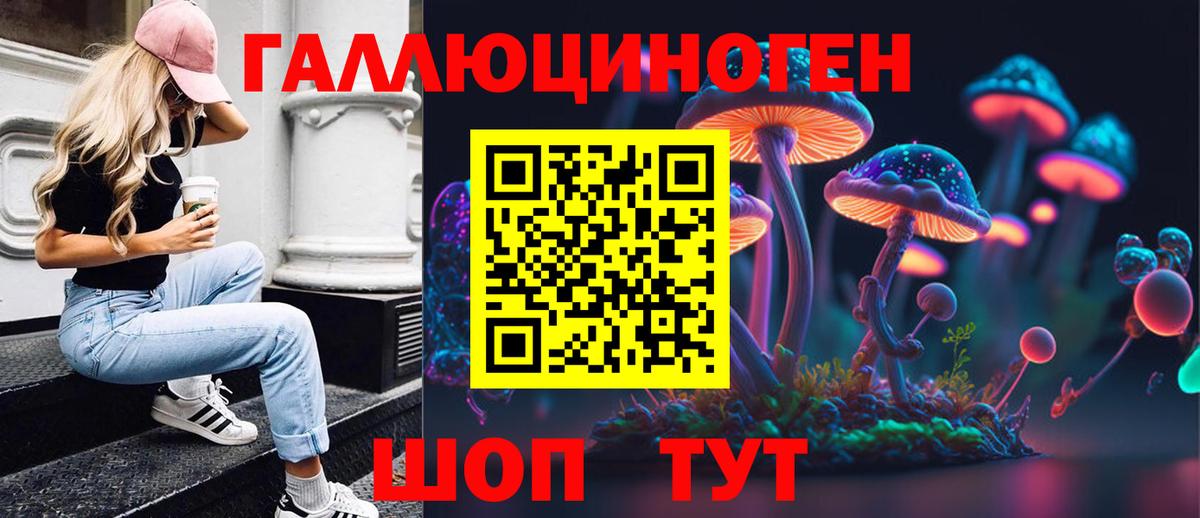 Галлюциногенные грибы мухоморы Абакан